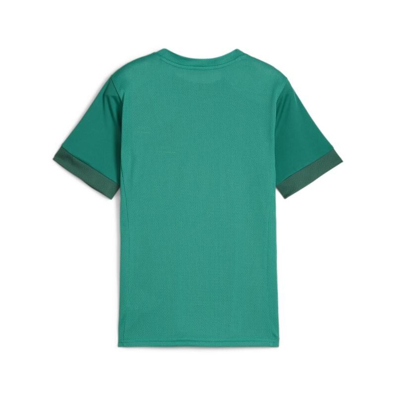 6378 22752 ef295f780ab7 teamgoal matchday jersey jr l re 00 li sport green puma white power green 1.jpg